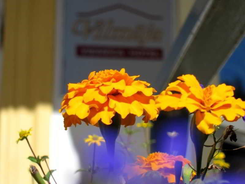 ריגה Hotel Vilmaja מראה חיצוני תמונה